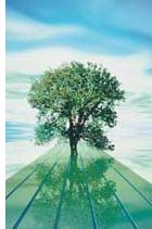 el medioambiente imagen