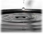 gota