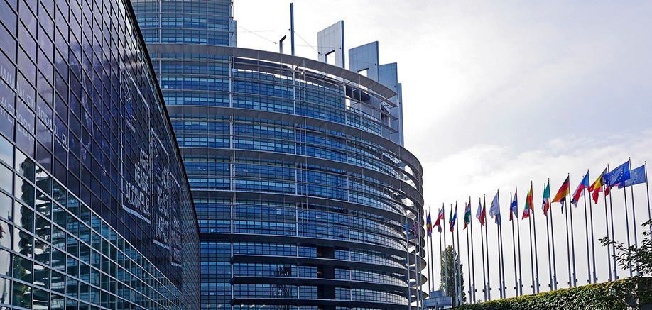 revision reglamento fgas en el Parlamento Europeo