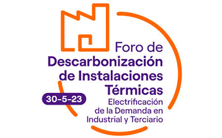 afec endesa