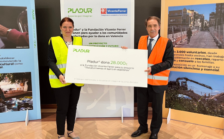 pladur fundacion dana