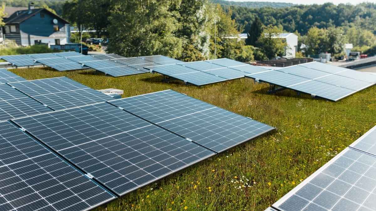 cubierta verde solar