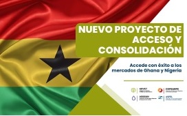 blog - blog_nigeria y ghana
