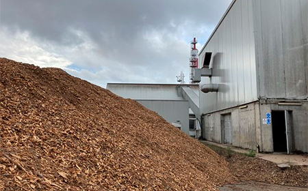biomasa renovable avebiom