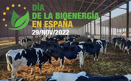 dia bioenergia espana