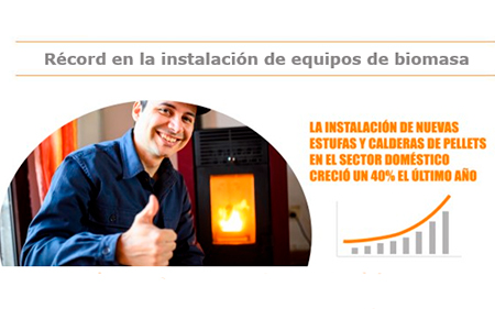record instalacion biomasa