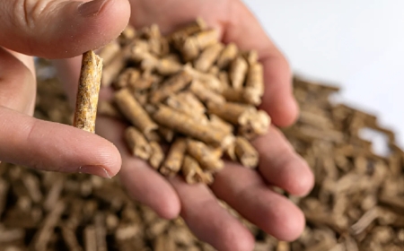 seguridad consumidor pellet enplus reconocimiento oficial europeo