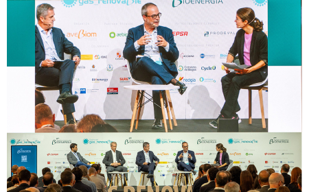 congreso bioenergia avebiom