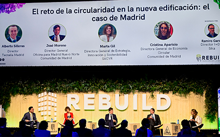 rebuild descarbonizacion
