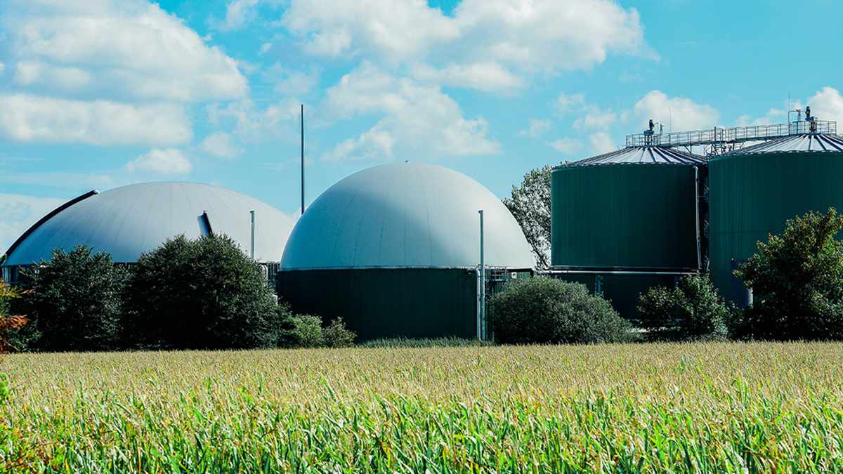 avebiom empresas municipios agricultores vecinos biometano