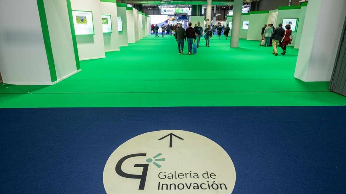 abierto plazo candidaturas galeria innovacion genera matelec