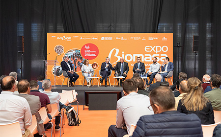 bioenergia expobiomasa jornada