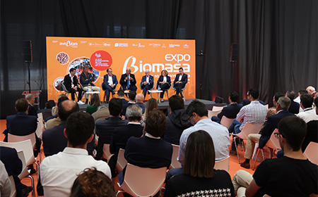 expobiomasa cierre