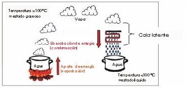 Las nueces producen gases