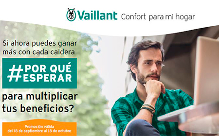 Promo vaiilant calderas