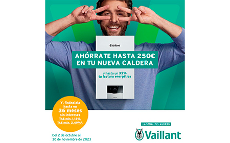 promocion usuarios vaillant