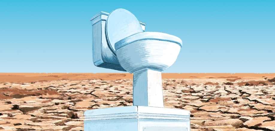 dia mundial retrete 2025 siempre necesitaremos retrete 1