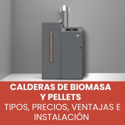 domusa noticias destacadas biomasa mayo 2025