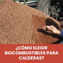 caloryfrio 2 noticias destacadas biomasa mayo 2025