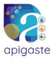 Logo Apigaste