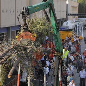 Expobioenergía biomasa forestal