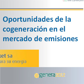 cogeneracion microcogenerac