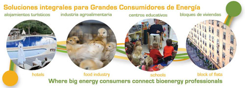 conecta bioenergia