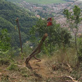 Monte