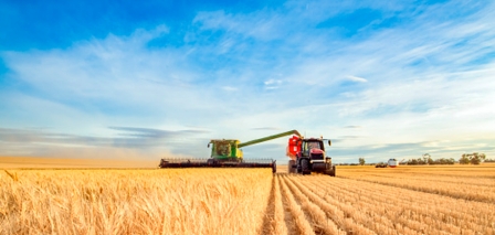 El biorrefino de cultivos de la UE produce más alimento que combustible