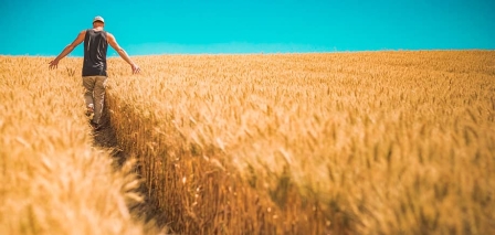 Potenciar las economías rurales y recuperar el valor del campo español con el biorrefino ¿Es posible?