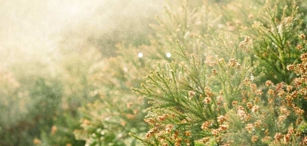 Cómo evitar la alergia primaveral con el aire acondicionado