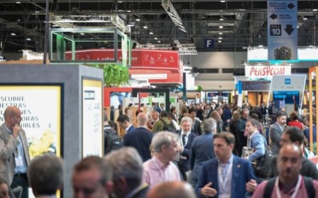 novedades en rebuild 2026