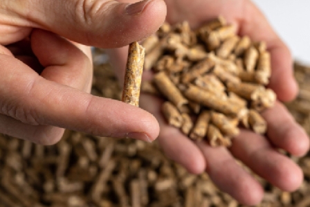 biocombustibles solidos pellet