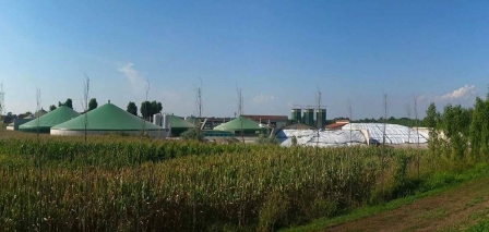 La hora de la bioenergía como parte de la solución estratégica para la descarbonización