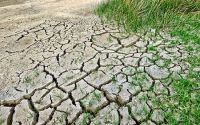ROCKWOOL resalta la importancia del aislamiento de lana de roca, un aliado clave en la lucha contra el cambio climático