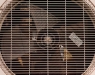 Diferencias entre aire acondicionado y climatizador