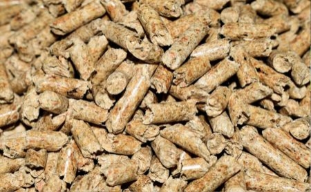 España presume de energía renovable, turismo y prevención de incendios en el Día de la Bioenergía