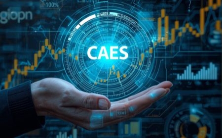 Cómo aprovechar las actuaciones CAE y maximizar el ahorro energético: casos prácticos en el sector eléctrico